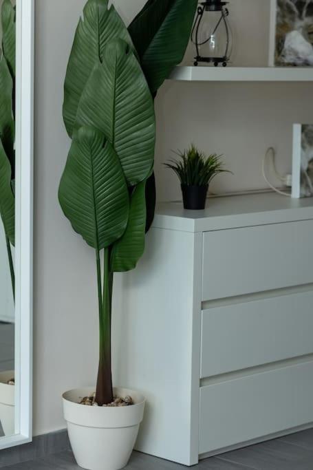 Deko Penthouse Suite Soluň Exteriér fotografie